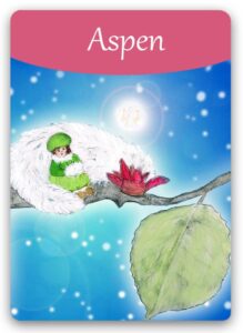 aspen-bach-flower1 (1)