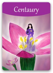 centaury-bach-flower1 (1)