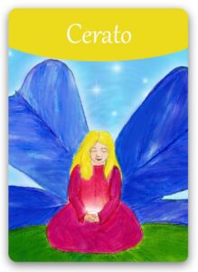 cerato-bach-flower1 (1)