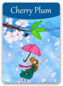 cherry-plum-bach-flower (1)
