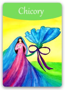 chicory-bach-flower