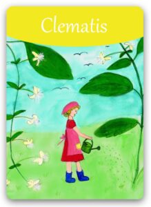 clematis-bach-flower (1)
