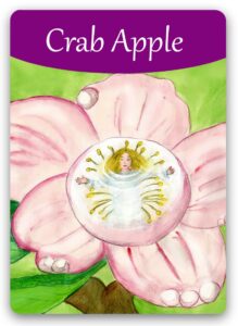 crab-apple-bach-flower (1)
