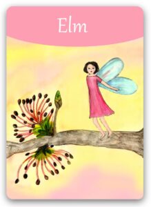 elm-bach-flower (1)