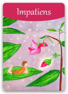 impatiens-bach-flower1