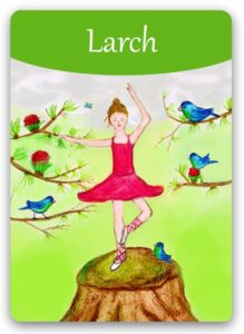 larch-bach-flower1 (1)