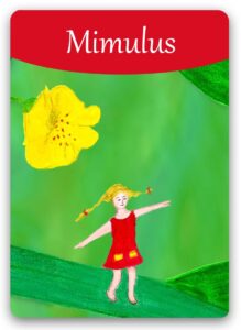 mimulus-bach-flower (1)