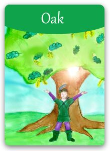 oak-bach-flower