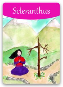 scleranthus-bach-flower