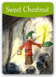 sweet-chestnut-bach-flower
