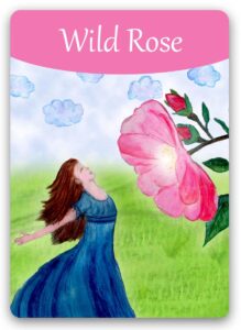 wild-rose-bach-flower